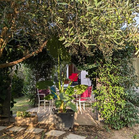 La Maison Sous L'Olivier Villa Morieres-les-Avignon Luaran gambar