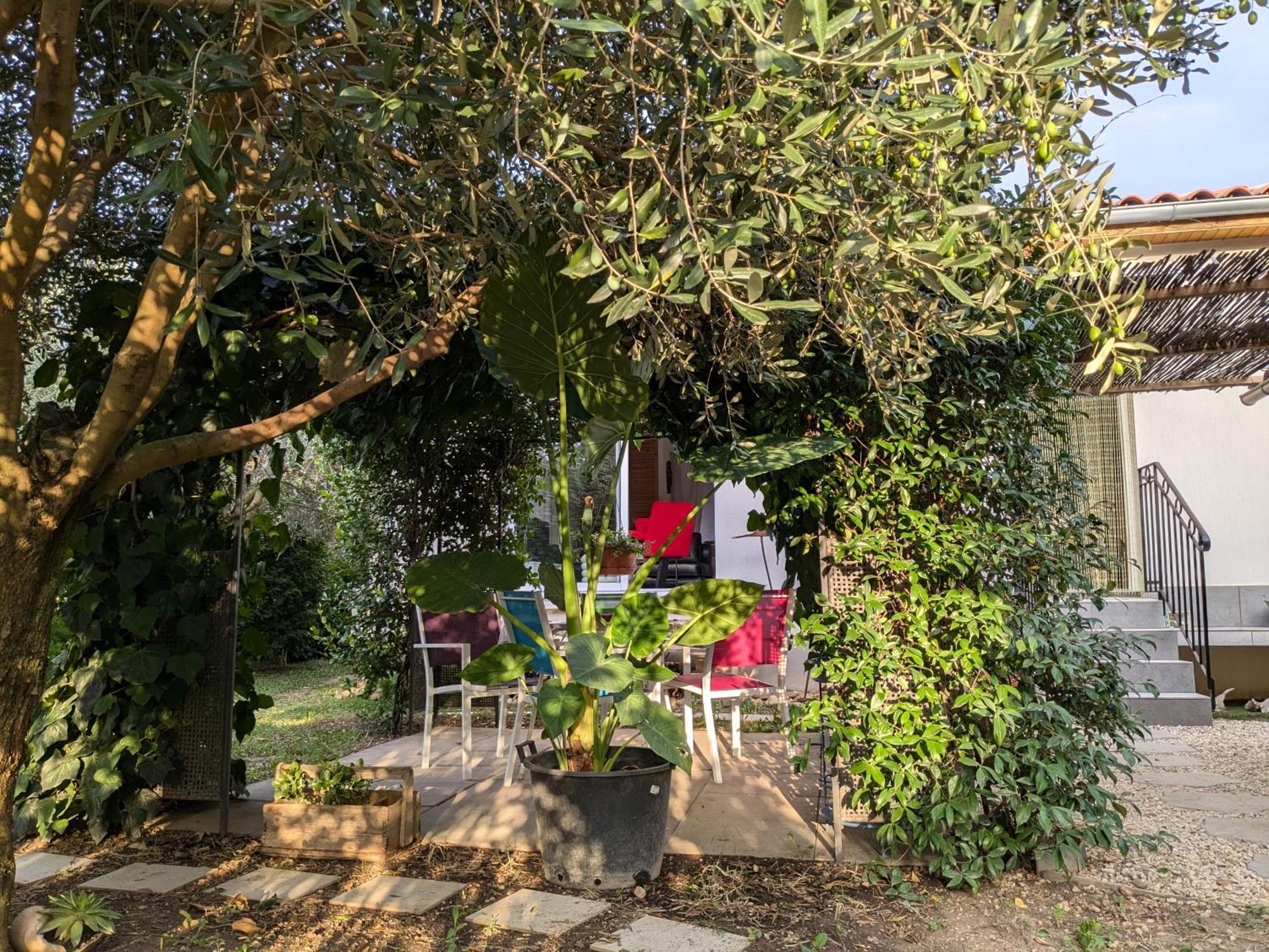 La Maison Sous L'Olivier Villa Morieres-les-Avignon Luaran gambar